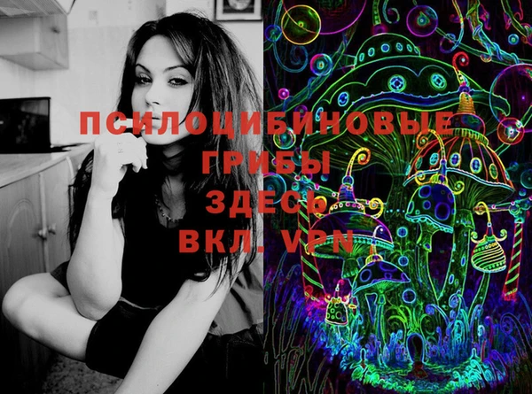 PSILOCYBIN Белоозёрский
