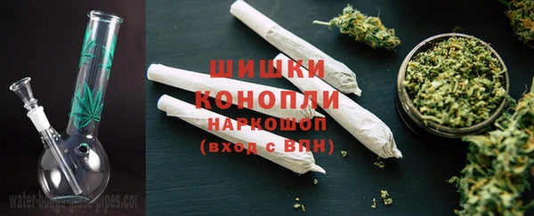 PSILOCYBIN Белоозёрский